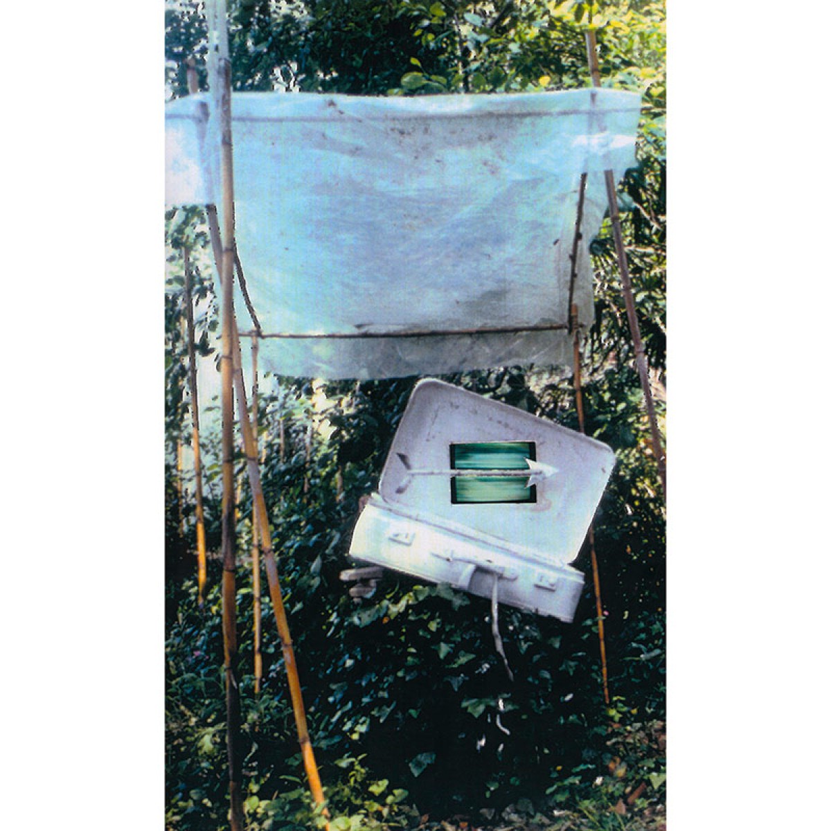 Rapidità // Videokoffer